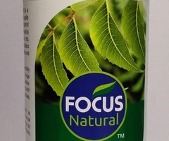 THE FOCUS NATURAL - Image 3