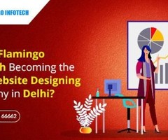 Flamingo Becoming The Best Website Designing Company in Delhi