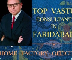 TOP VASTU EXPERTS IN FARIDABAD