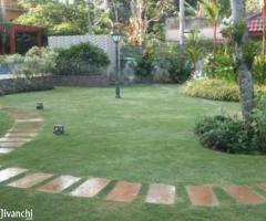 REALSIGHT GARDENS FOR LANDSCAPE, PLANTSCAPE & VARIETY GARDENING