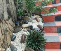 REALSIGHT GARDENS FOR LANDSCAPE, PLANTSCAPE & VARIETY GARDENING - Image 2