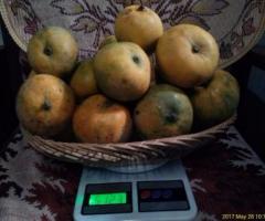 Sweet Neelam Mango, 5kg,Home garden,No pesticides,ripening agent