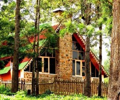 5000 ft² – Golden Pristine Valley,Ooty - Image 1