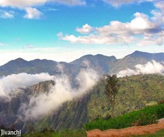 5000 ft² – Golden Pristine Valley,Ooty - Image 4