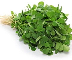 Farm Fresh Fenugreek/Methi leaves 1 Bunch | 80-100 Gram online