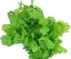 Farm Fresh Organic Coriander leaves 1 Bunch buy online | 150-200 Gram