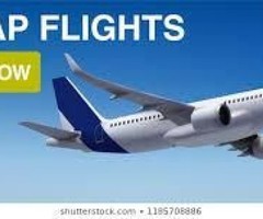 STG offer attractive deals on Ahmedabad to Cochin flight