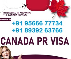 EWICS GROUP Canada Immigration