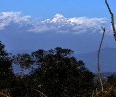 In search of luxury cottages in mukteshwar for your next trip