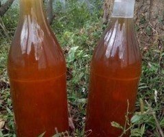Pure and Natural Honey