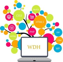 Web Design Company in Noida Extension