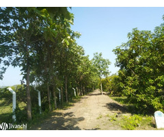 Farm land For seles - Image 3